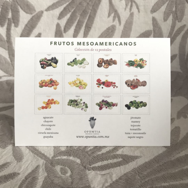 Postales de Frutos Mesoamericanos