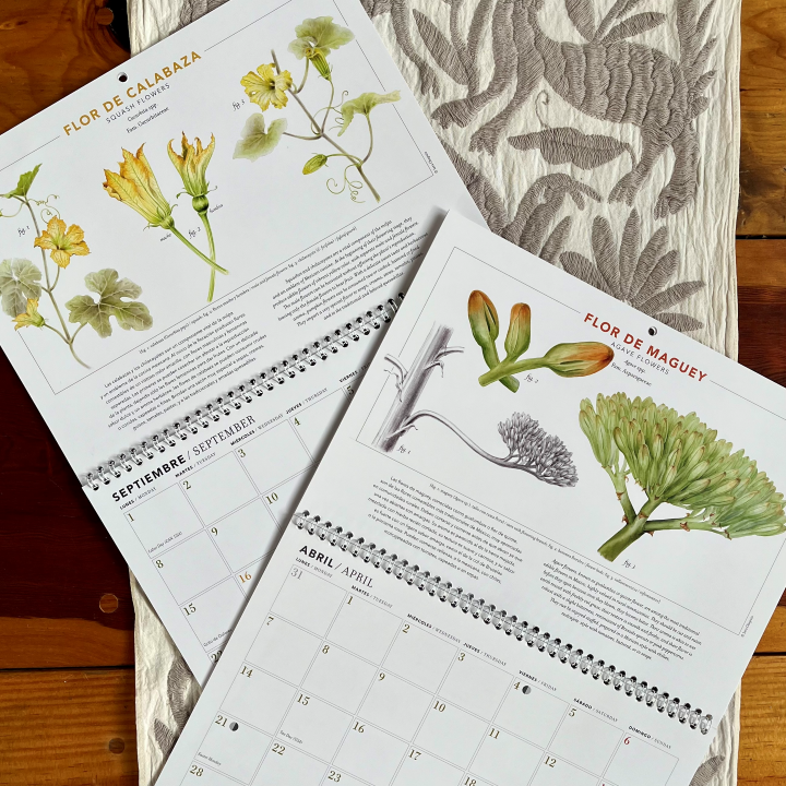 Calendario Flores Comestibles de Mesoamérica 2025